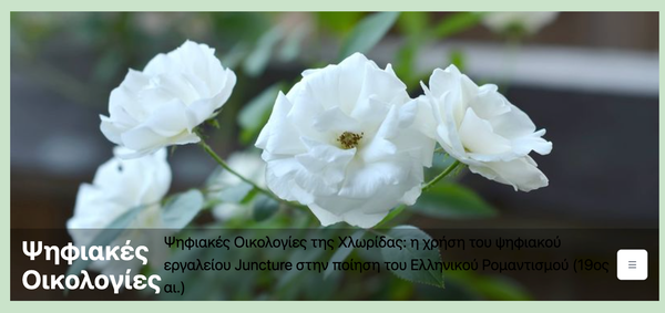 Digital Ecologies: Q&A with Dr. Nikoleta Zampaki